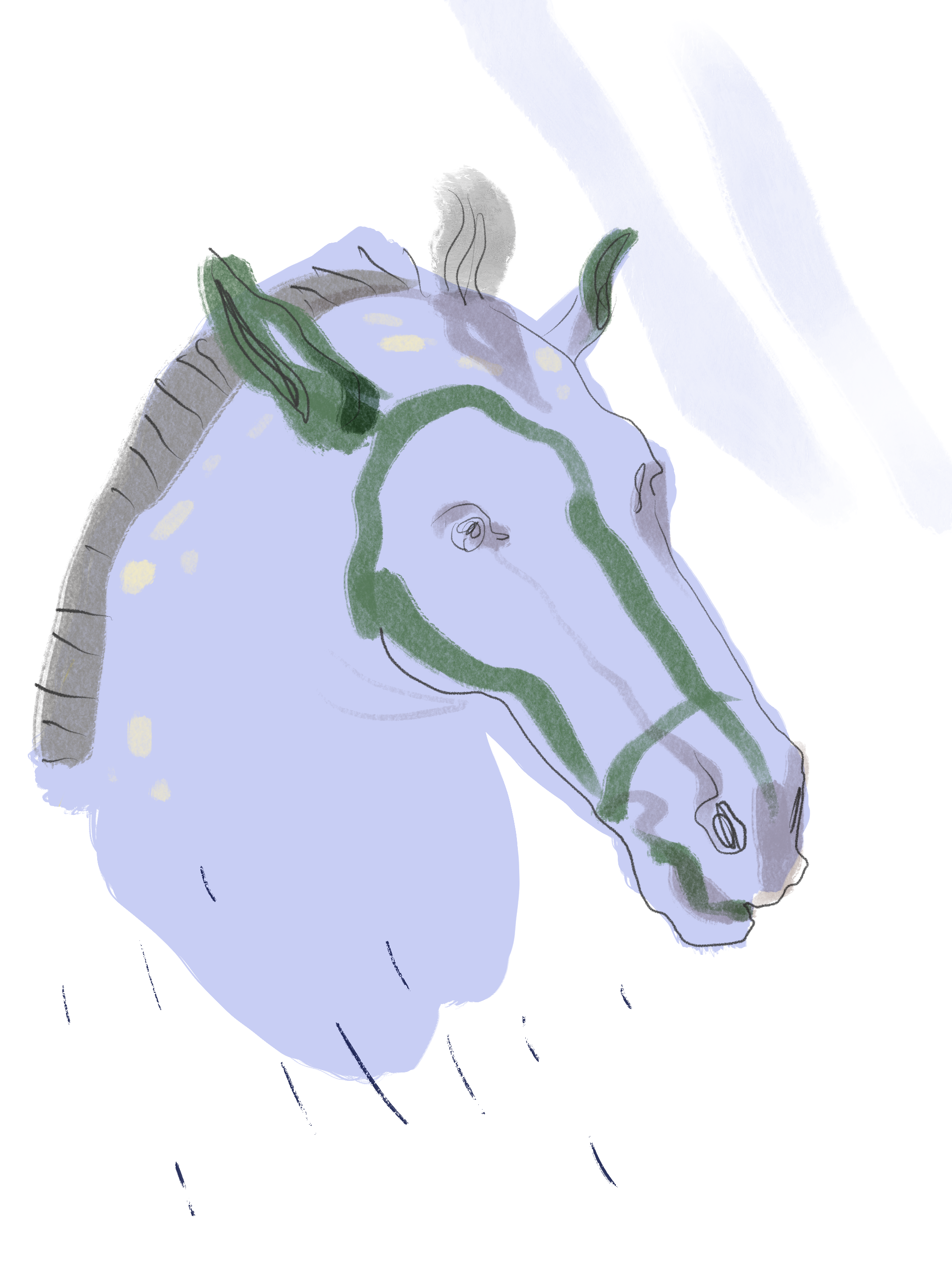 Horse head illustration by Silvana Mariani