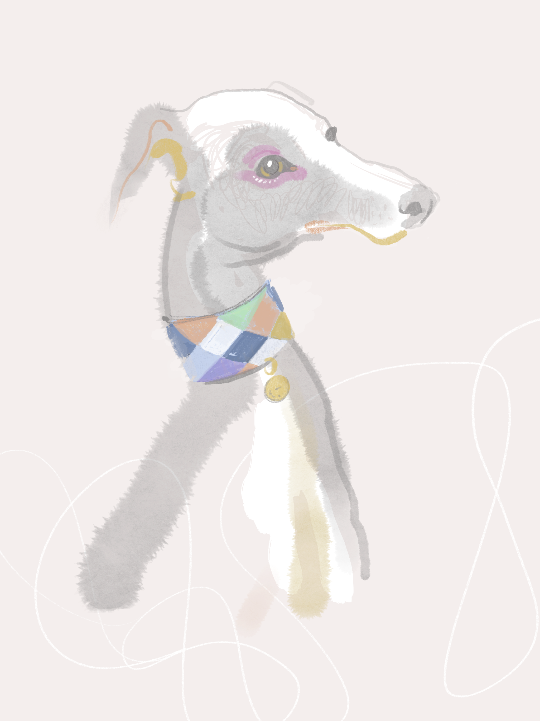 Dog portrait with arlecchino collar, illustration by Silvana Mariani